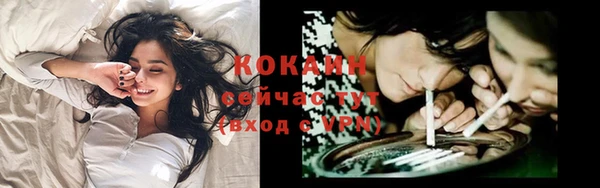 спайс Баксан