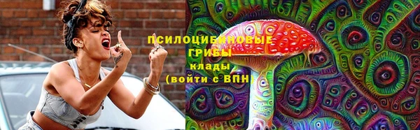 спайс Баксан