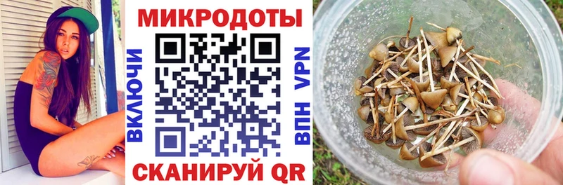 Галлюциногенные грибы Magic Shrooms  omg tor  Белинский 